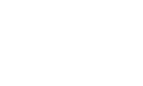 Liquid Telecom Logo