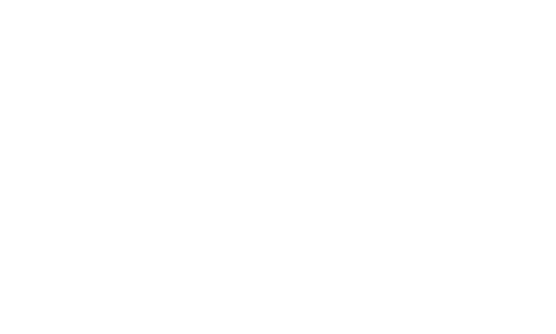AVI Logo