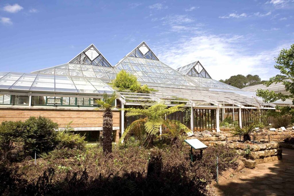 Kirstenbosch Conservatory