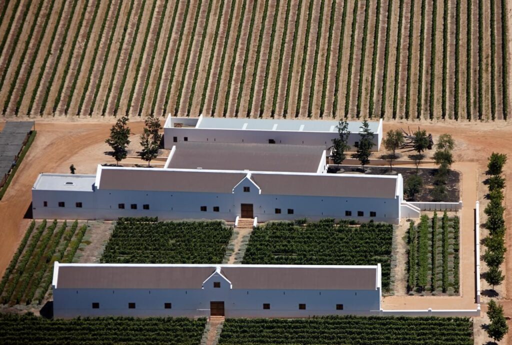 Babylons wine cellar