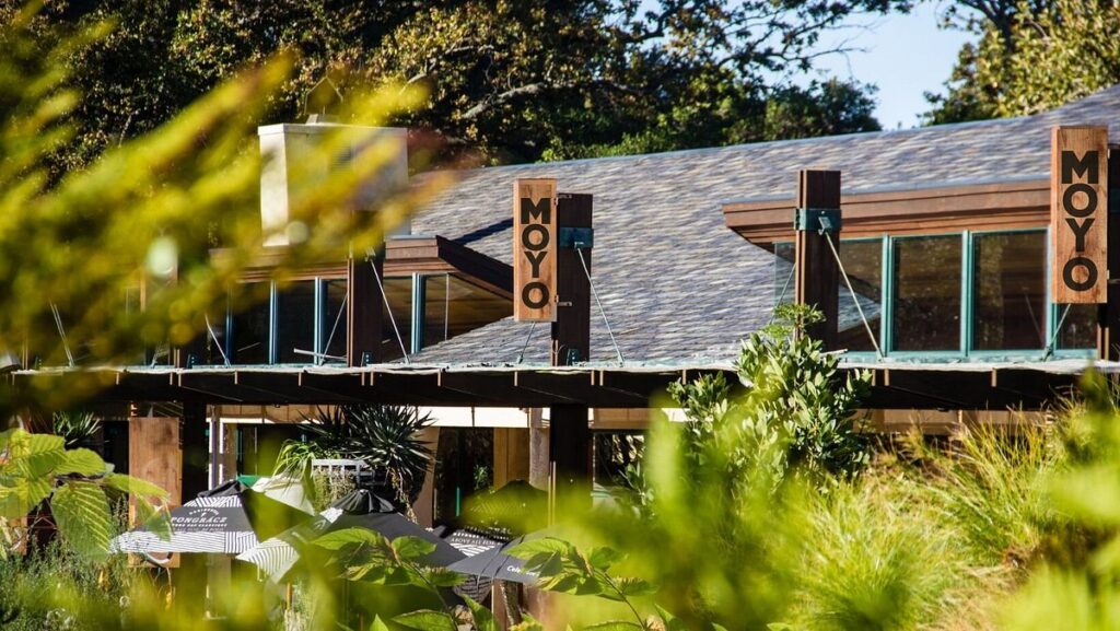 Kirstenbosch Moyo Restaurant