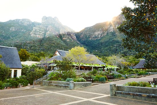 Kirstenbosch tea room