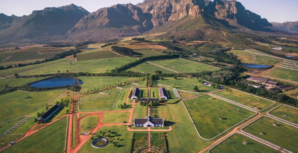 Drakenstein Stud Farm