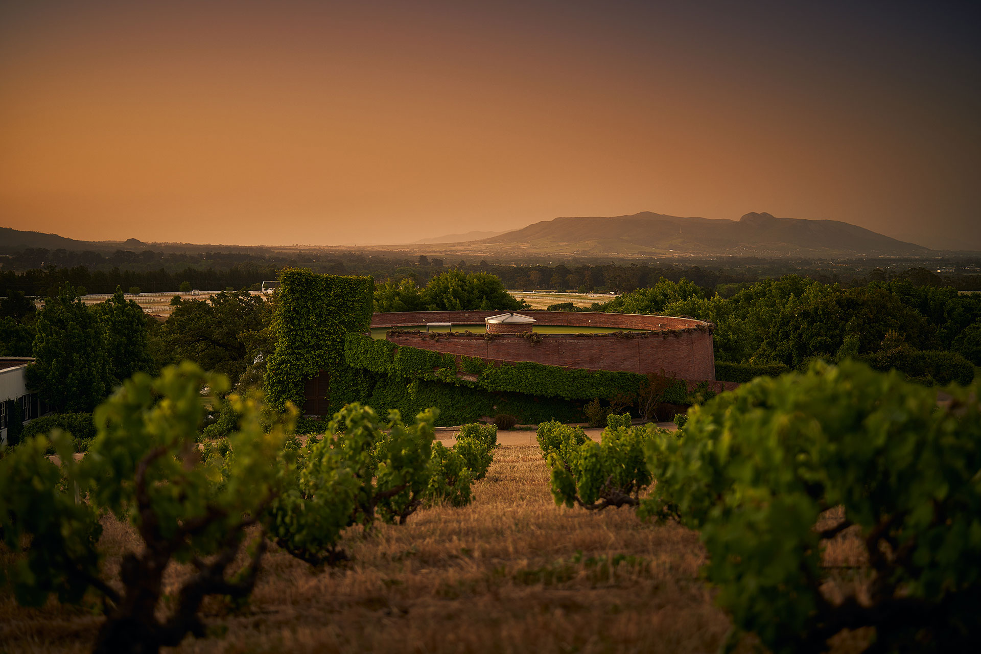 wine cellar lormarins